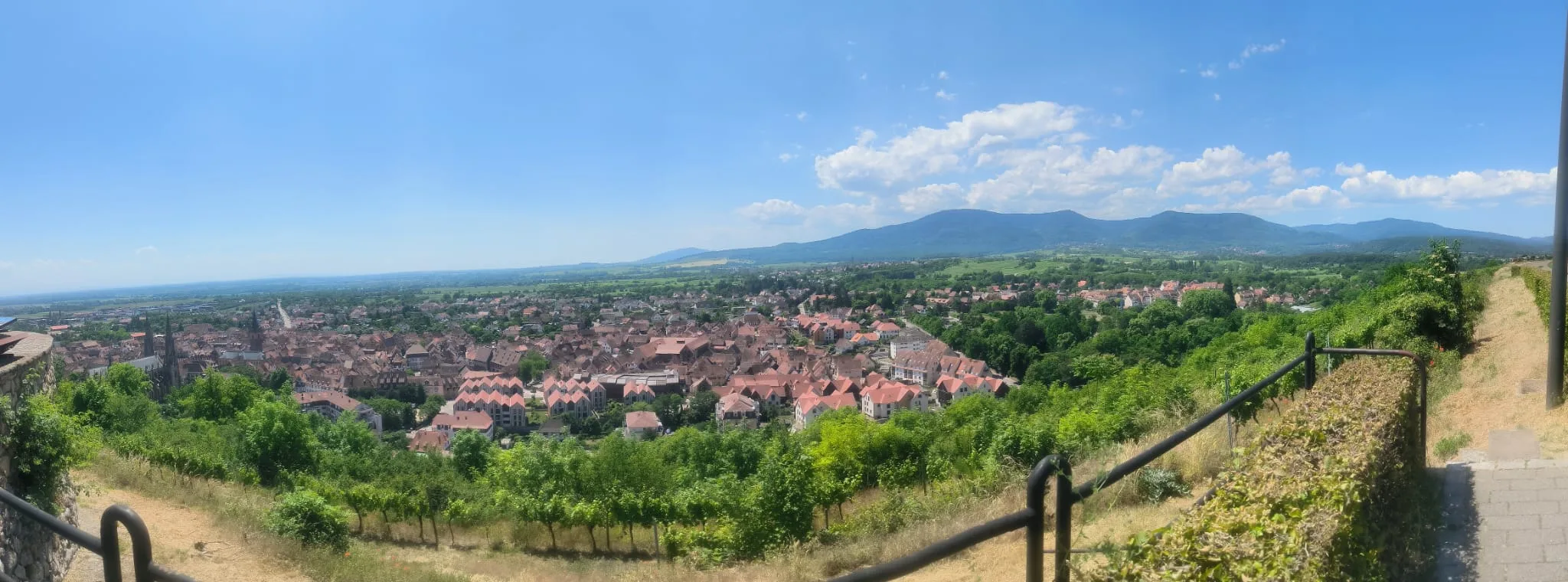 Vue panoramique sur Obernai