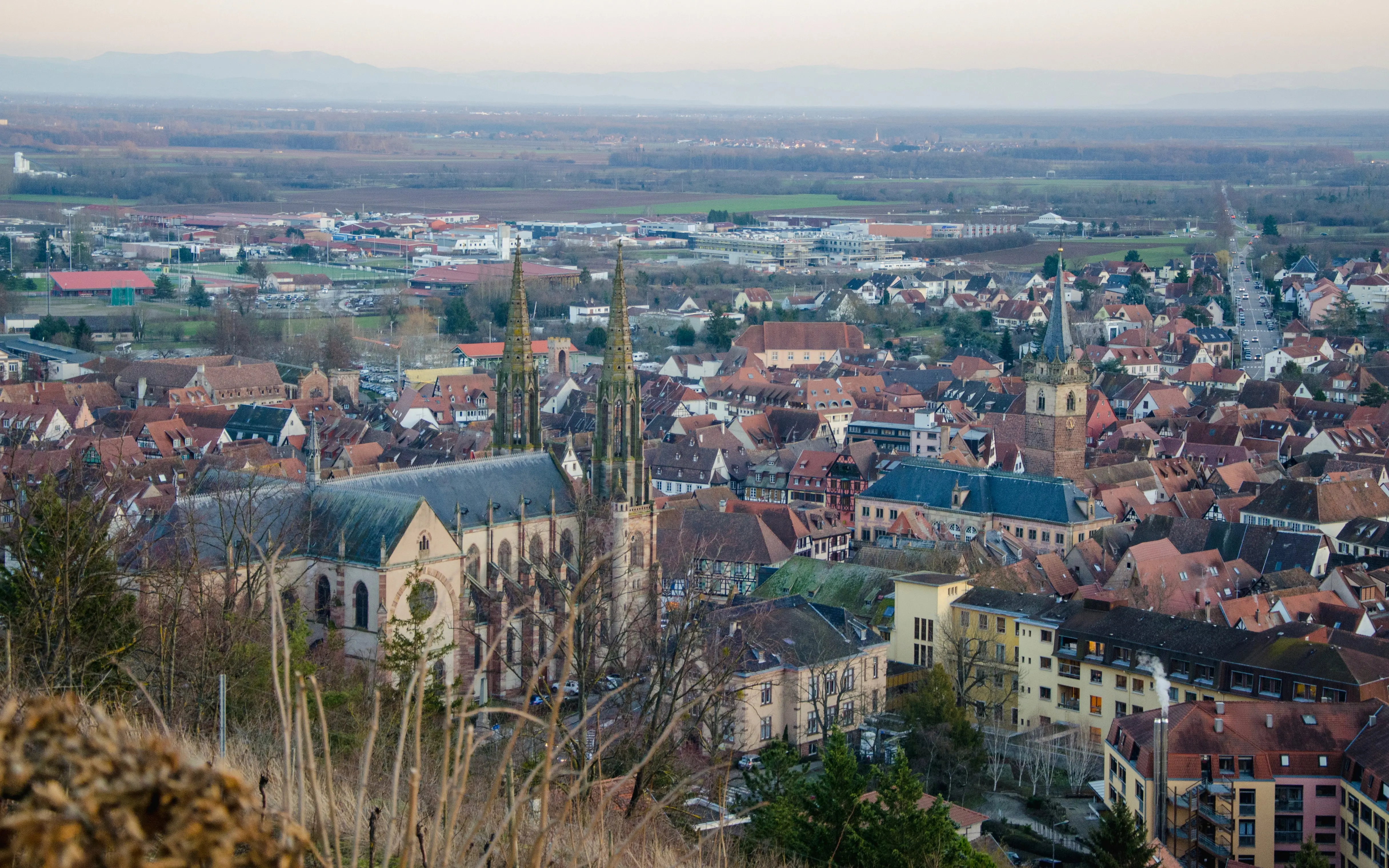 Vue panoramique sur Obernai